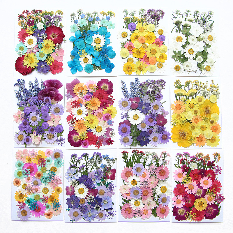 Flower Preservation Resin - 6pcsDried Flowers Real Natural Plant Pressed