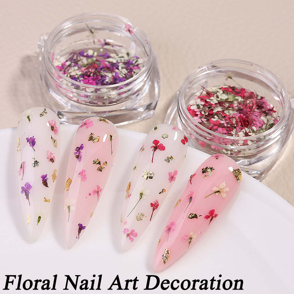 Mixed Colors Gypsophila False  – обзор и цена Dried Flower Bulk