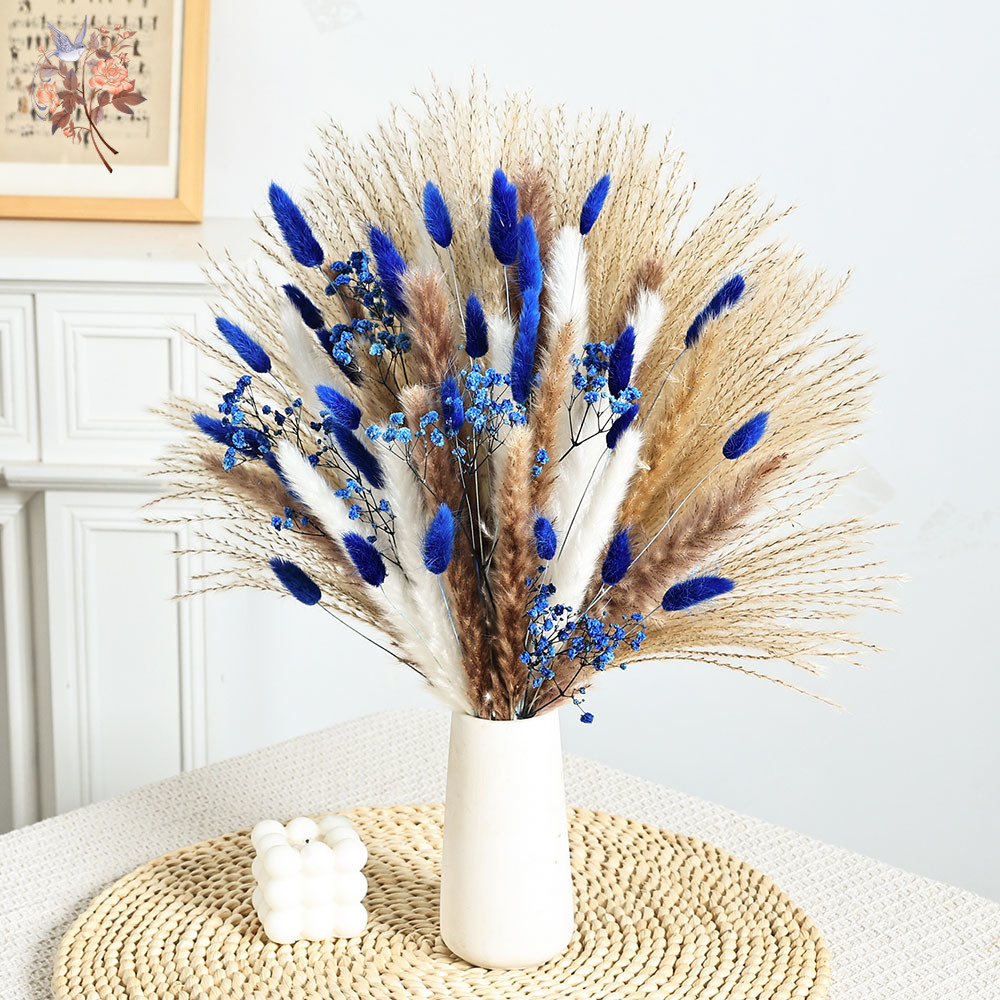 70 Stem Blue Fluffly Rabbit Ta – обзор и цена Dried Flower Bulk