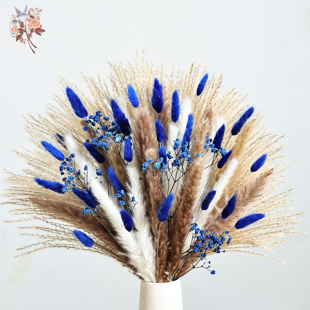 70 Stem Blue Fluffly Rabbit Ta – обзор и цена Dried Flower Bulk