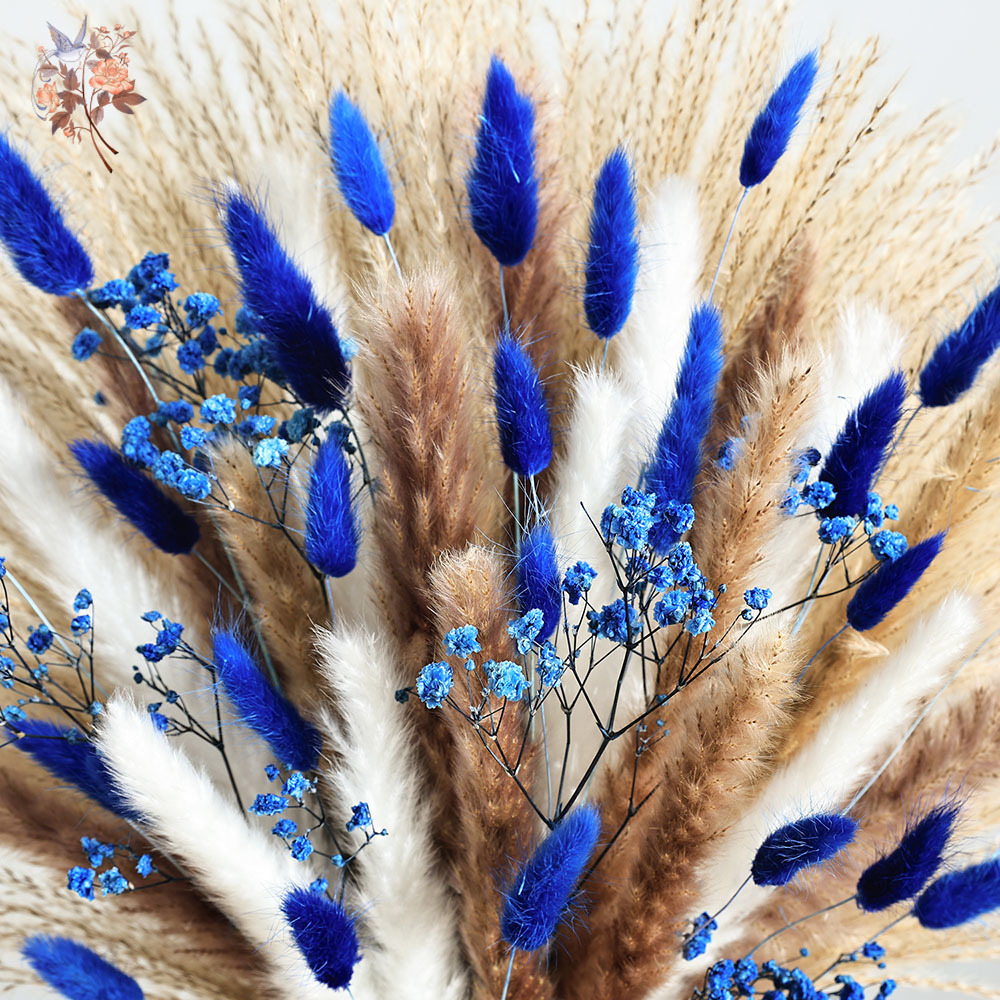 70 Stem Blue Fluffly Rabbit Ta – обзор и цена Dried Flower Bulk