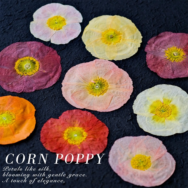 1pcs,Nature Field Poppy Presse – обзор и цена Resin Craft Ideas