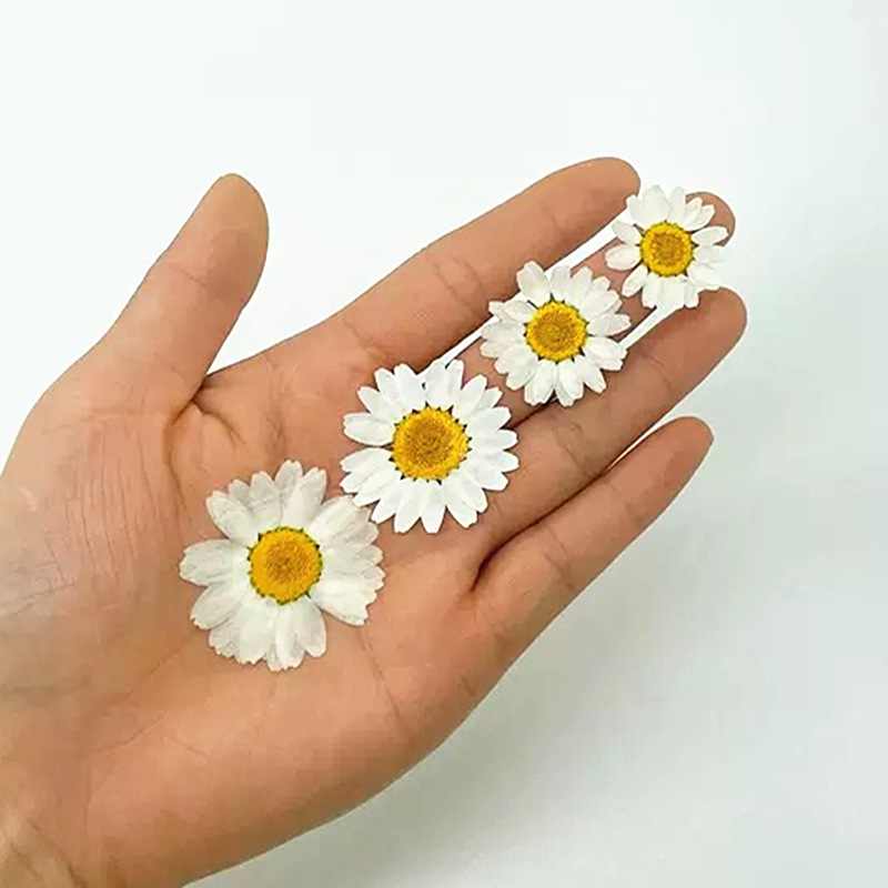 100Pcs Natural White Crystal C – обзор и цена Resin Craft Ideas