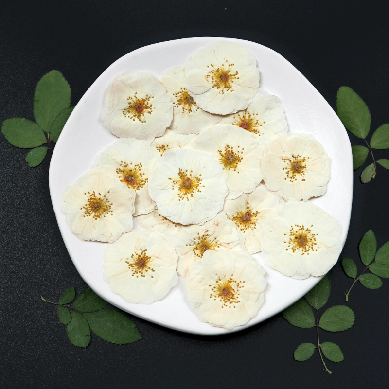 6pcs,9pcs,Nature White Rose Pr – обзор и цена Dried Flower Bulk