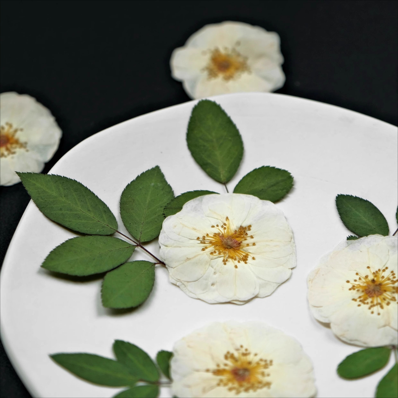6pcs,9pcs,Nature White Rose Pr – обзор и цена Dried Flower Bulk