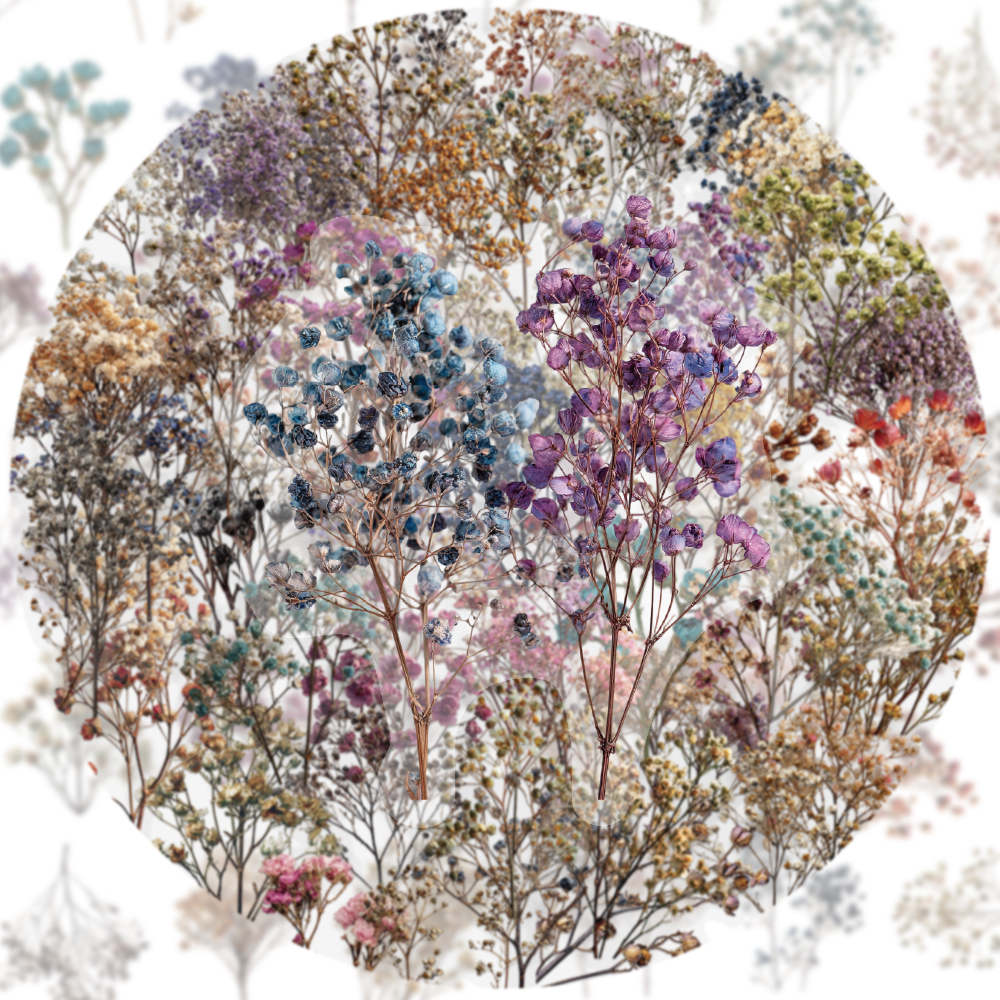 50PCS Retro Color Dried Flower – обзор и цена Dried Flower Bulk