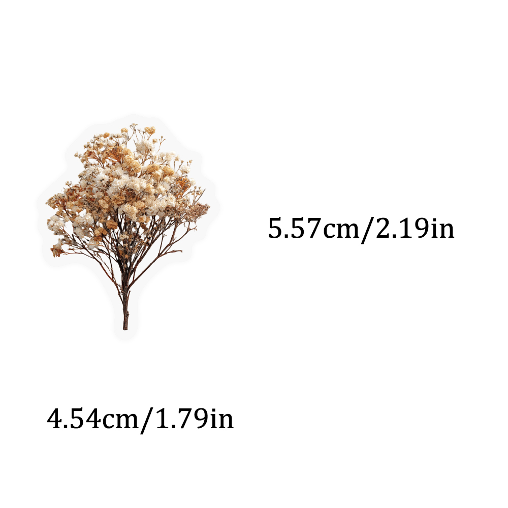 50PCS Retro Color Dried Flower – обзор и цена Dried Flower Bulk