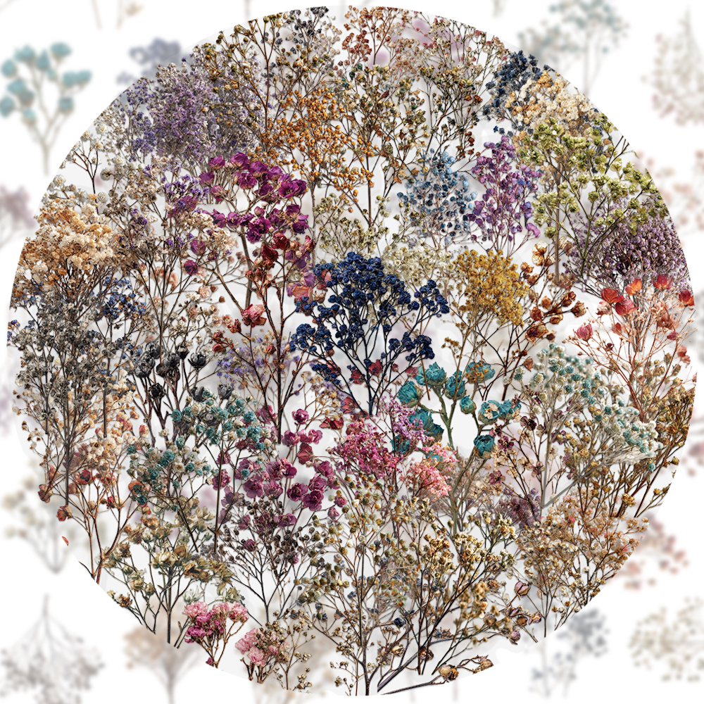 50PCS Retro Color Dried Flower – обзор и цена Dried Flower Bulk