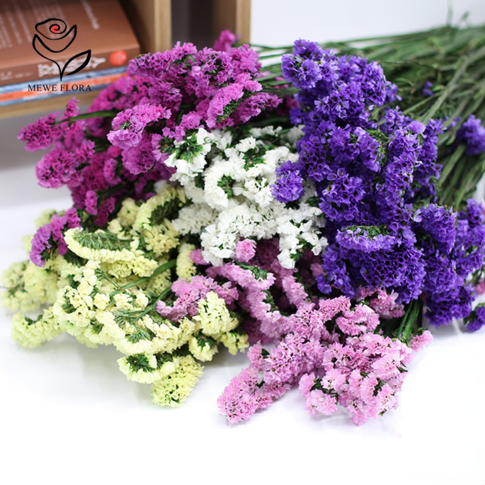 100g Dried Forget Me Not Flowe – обзор и цена Dried Flower Bulk