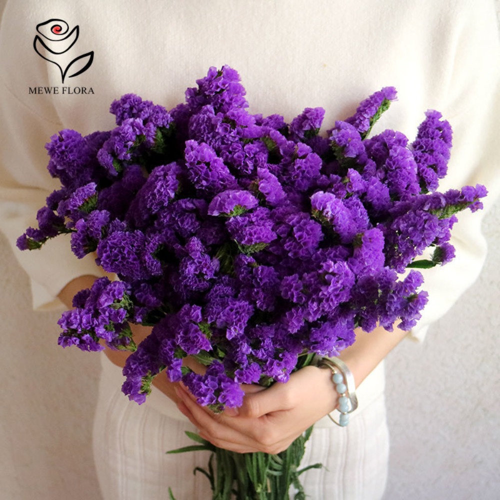 100g Dried Forget Me Not Flowe – обзор и цена Dried Flower Bulk