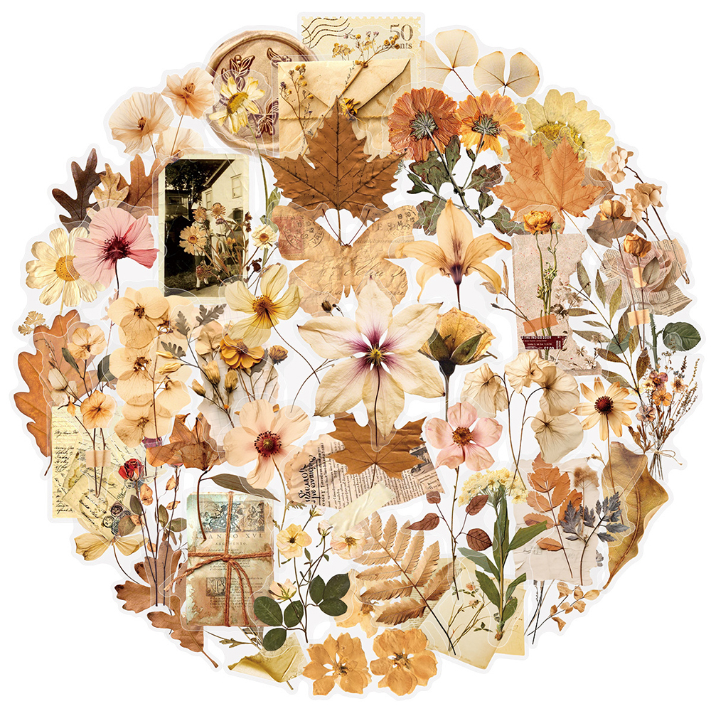 10/30/50pcs Transparent Dried  – обзор и цена Dried Flower Bulk