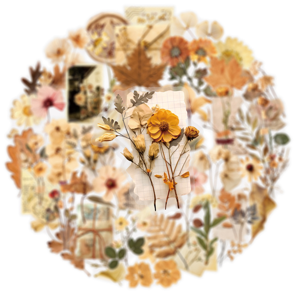 10/30/50pcs Transparent Dried  – обзор и цена Dried Flower Bulk