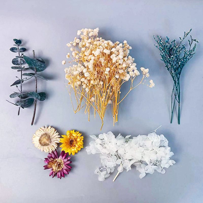 1pack Multifarious Dried Flowe – обзор и цена Dried Flower Bulk