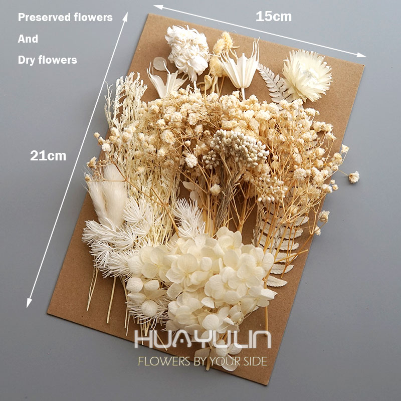 1 Pack Artificial Plants Dried – обзор и цена Dried Flower Bulk
