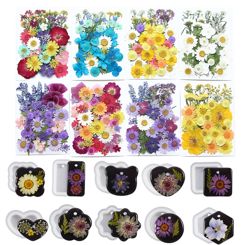 6pcsDried Flowers Real Natural – обзор и цена Flower Preservation Resin