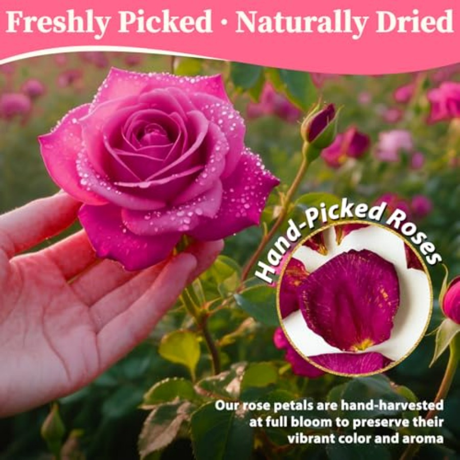 Dried Rose Petals Bulk 5oz Nat – обзор и цена Dried Flower Bulk