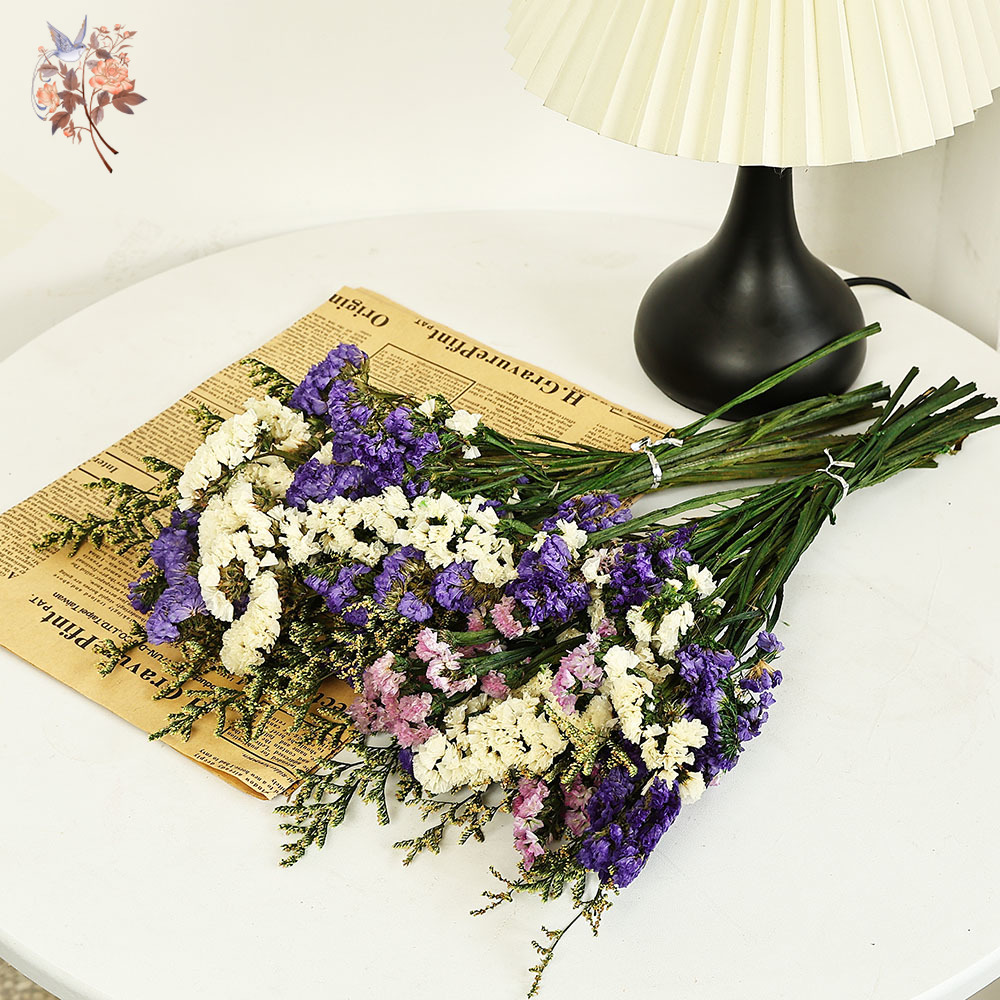 100g Natural Real Forget-me-no – обзор и цена Dried Flower Bulk
