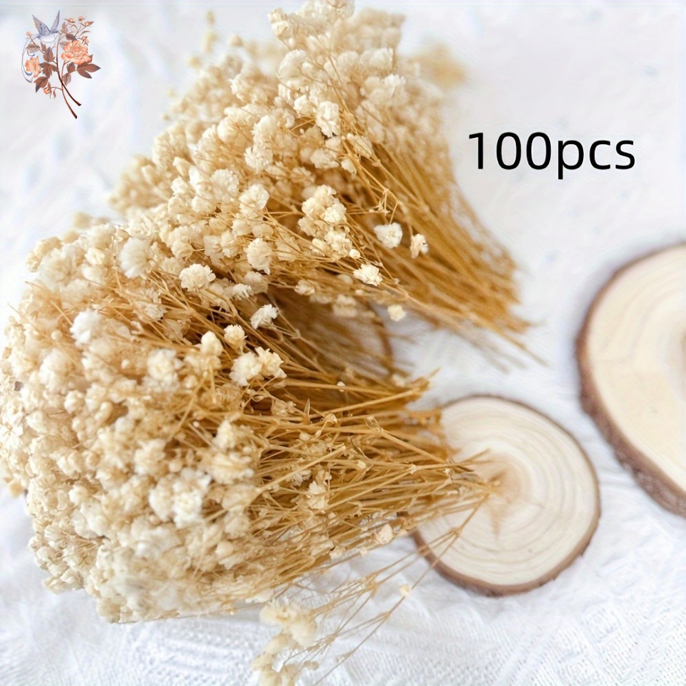 100pcs Mini Dried Baby's Breat – обзор и цена Dried Flower Bulk