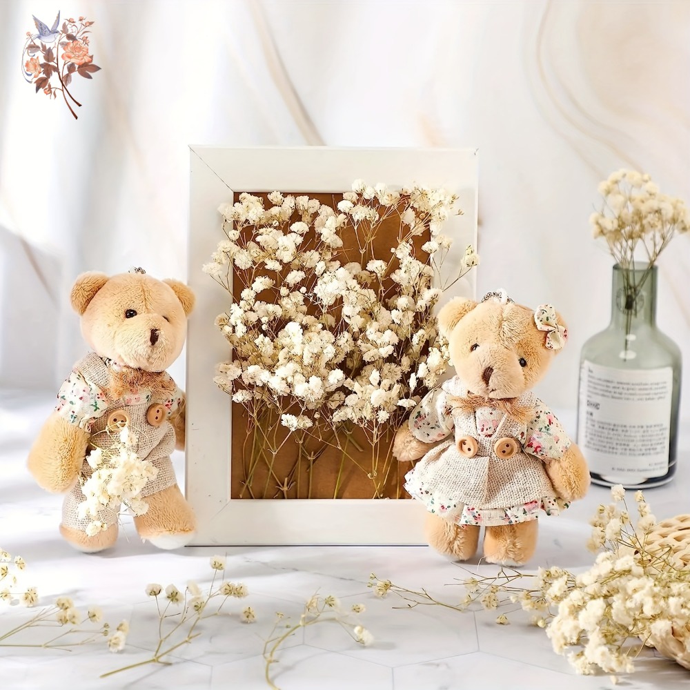 100pcs Mini Dried Baby's Breat – обзор и цена Dried Flower Bulk