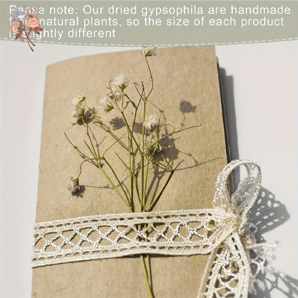 100pcs Mini Dried Baby's Breat – обзор и цена Dried Flower Bulk